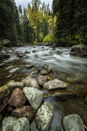 Rocky Mountain Stream II